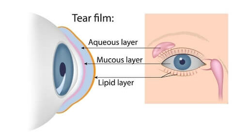 Tear Film diagram